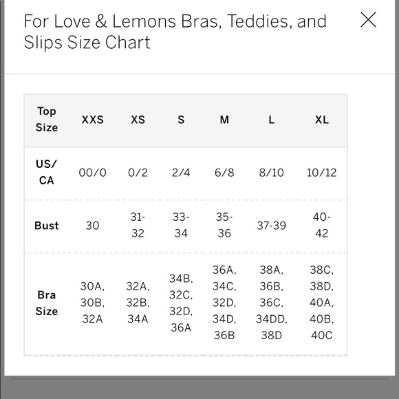 NEW SEXY FOR LOVE AND LEMONS PLUNGE LACE BRA - Picture 4 of 9